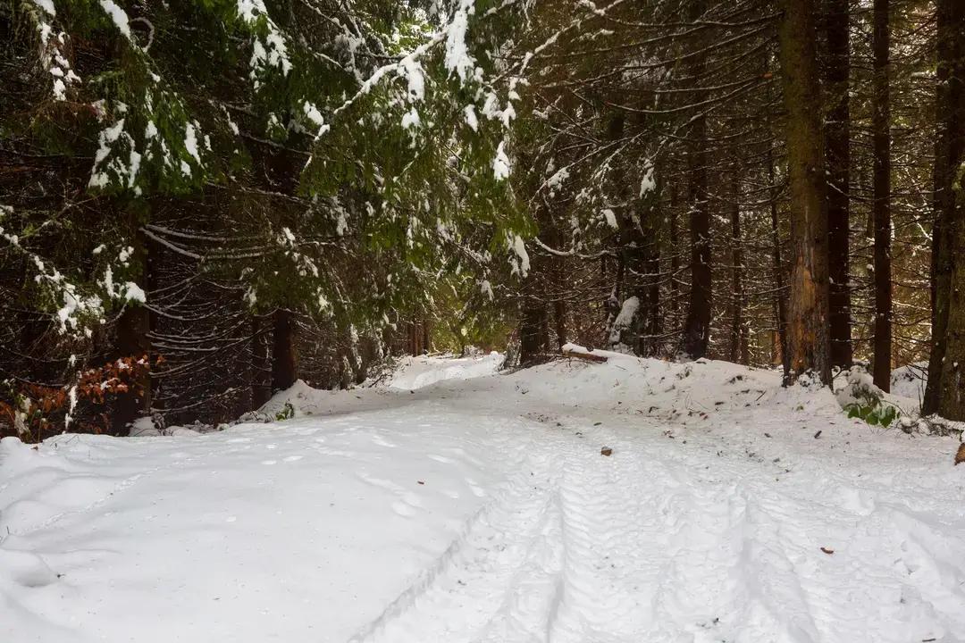 Використання cookies