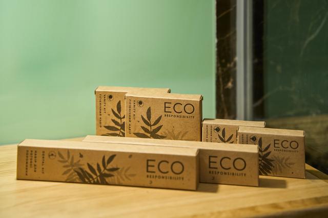 Напівлюкс з балконом (корпус Burshtyn)