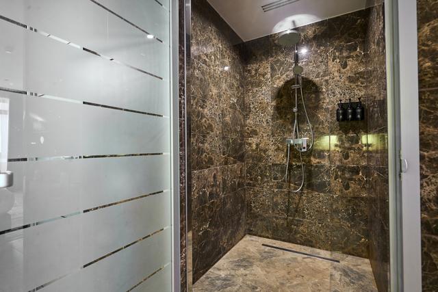 Deluxe Open Space в мансарді (корпус Burshtyn)