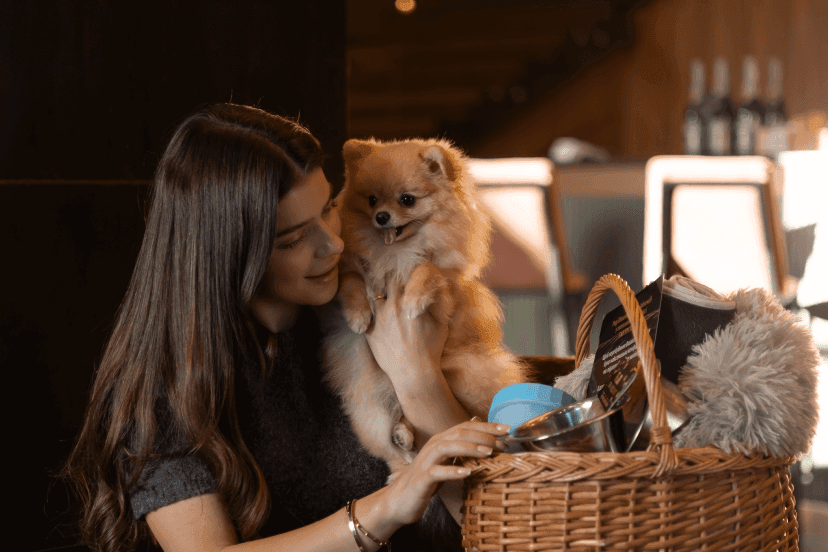 Проживання з вашими улюбленцями