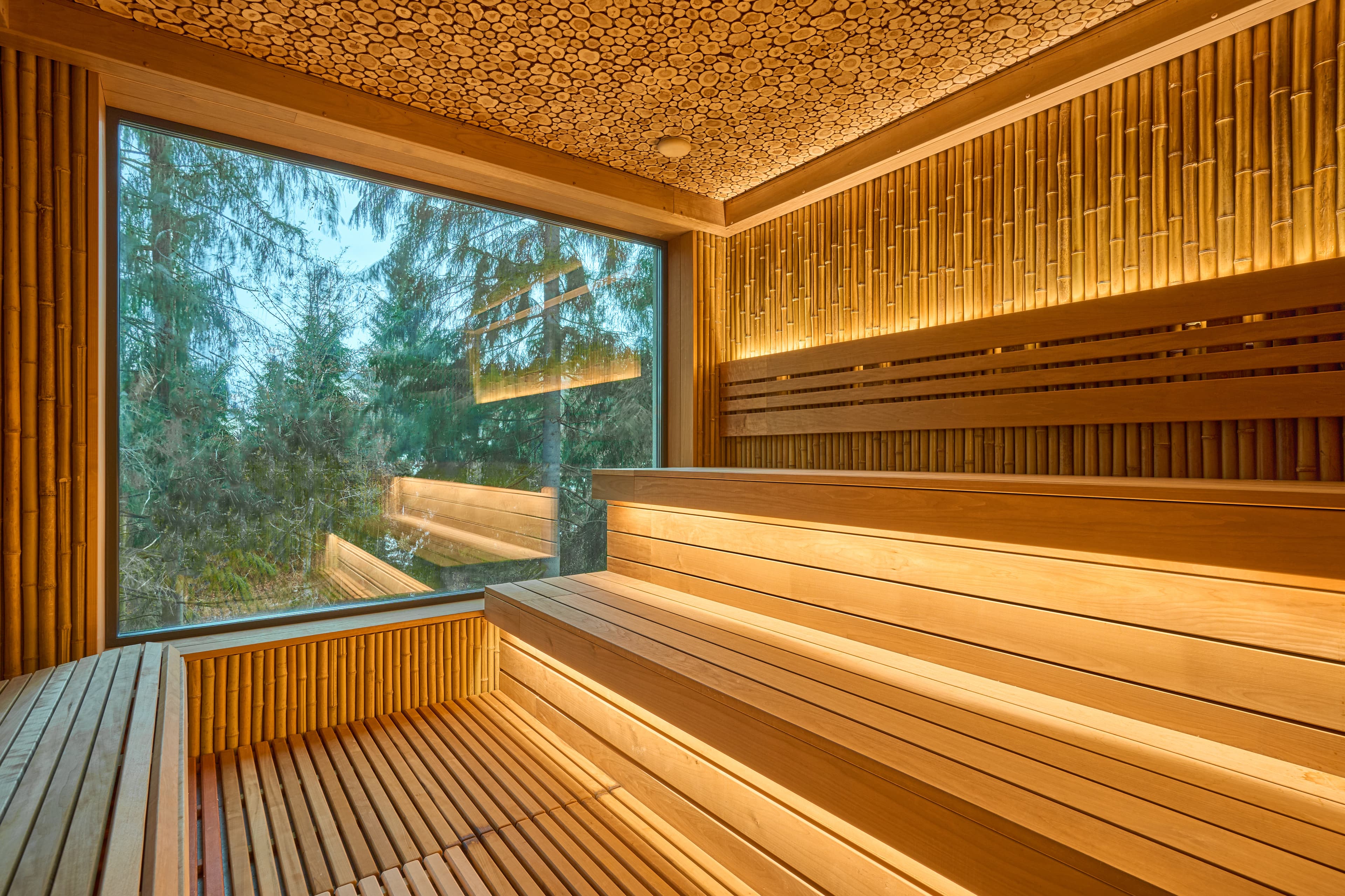 Котедж і візит у SPA, фото 4 Fomich