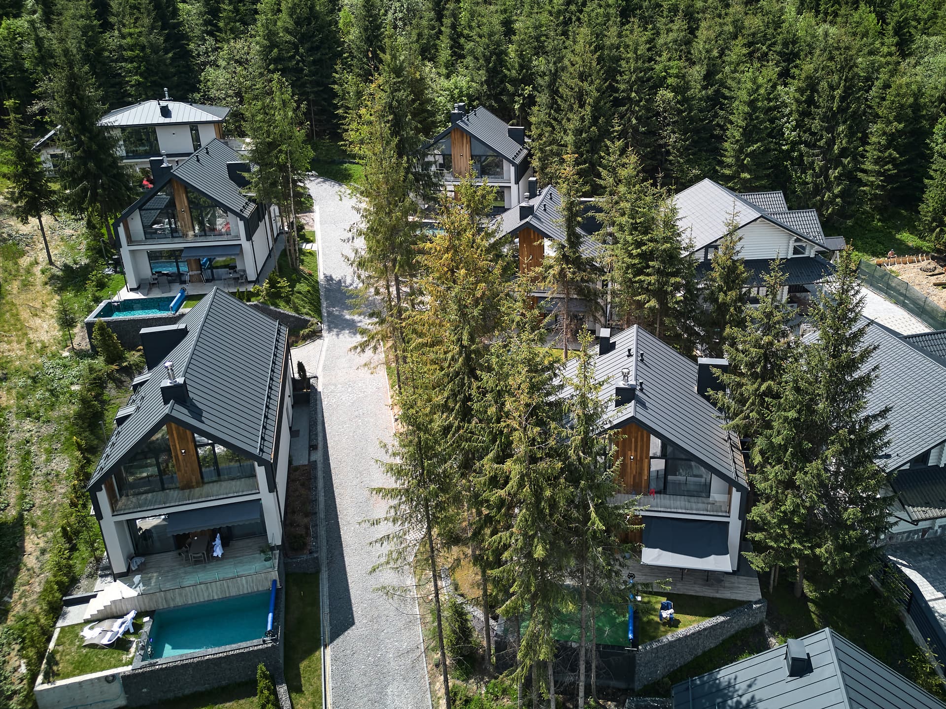 Modern Buko Village Cottage in Polyanytsia with a Swimming Pool, Photo 3 fomich.ua