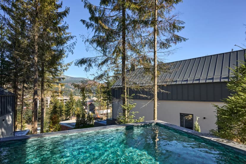 Modern Buko Village Cottage in Polyanytsia with a Swimming Pool, Photo 2 fomich.ua