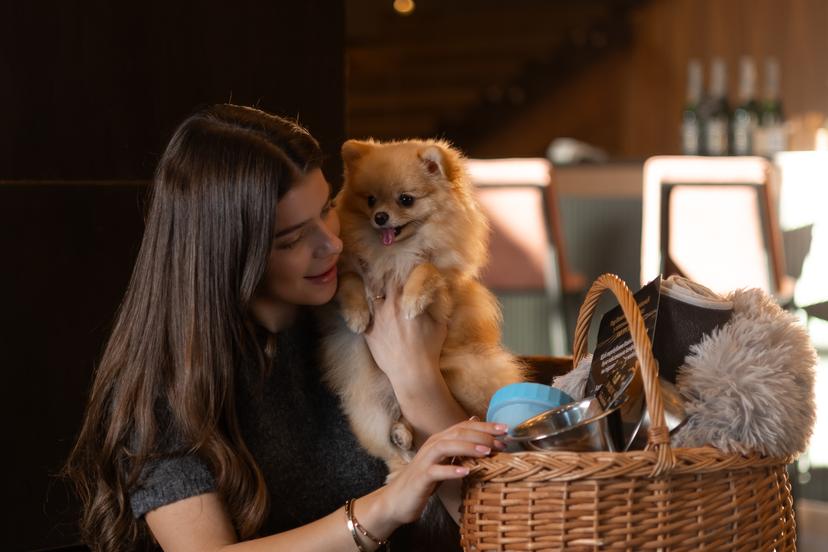 Проживання з вашими улюбленцями